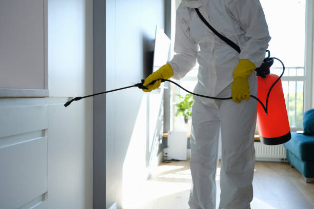 Best Certified Mold Removal  in Haverhill, FL