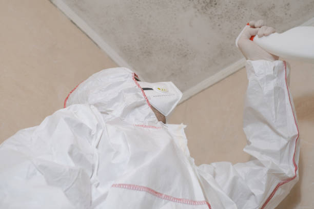 Best Crawl Space Mold Removal  in Haverhill, FL